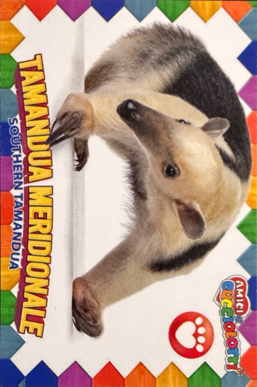 Amici Cucciolotti 2026 Pizzardi Editore - Figurine a Scelta 1-250