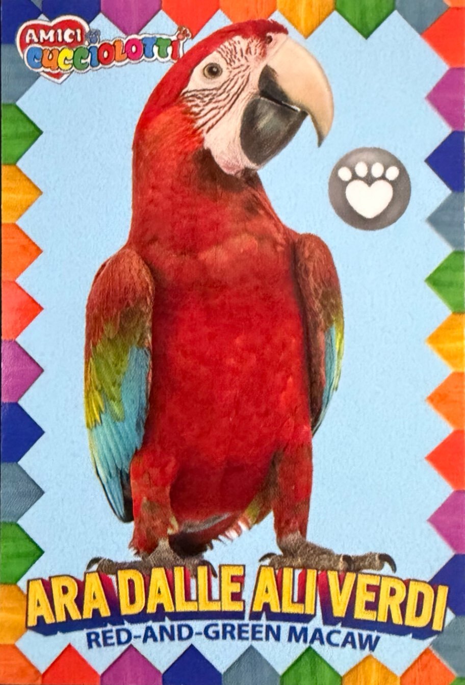 Amici Cucciolotti 2026 Pizzardi Editore - Figurine a Scelta 1-250