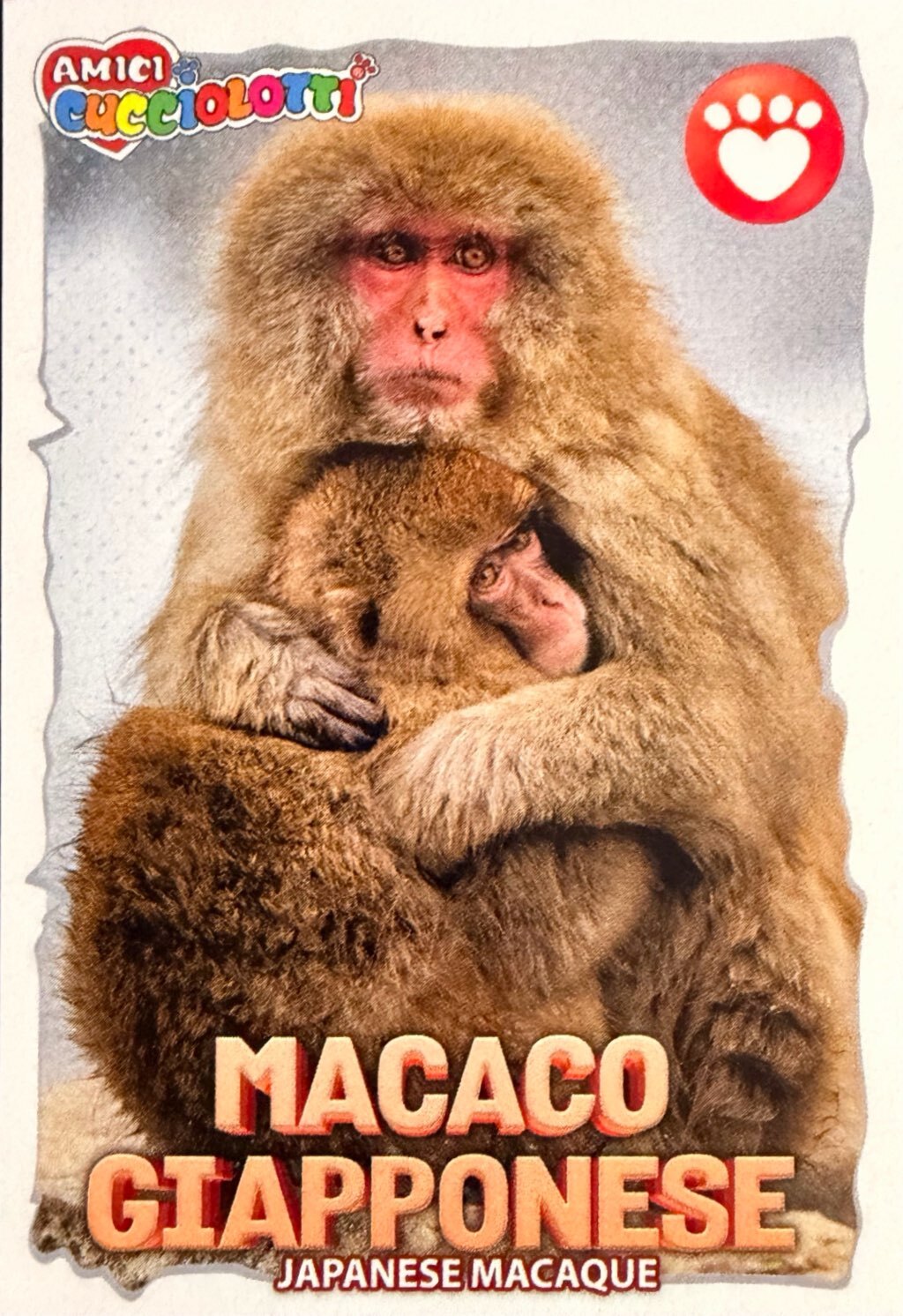 Amici Cucciolotti 2026 Pizzardi Editore - Figurine a Scelta 1-250