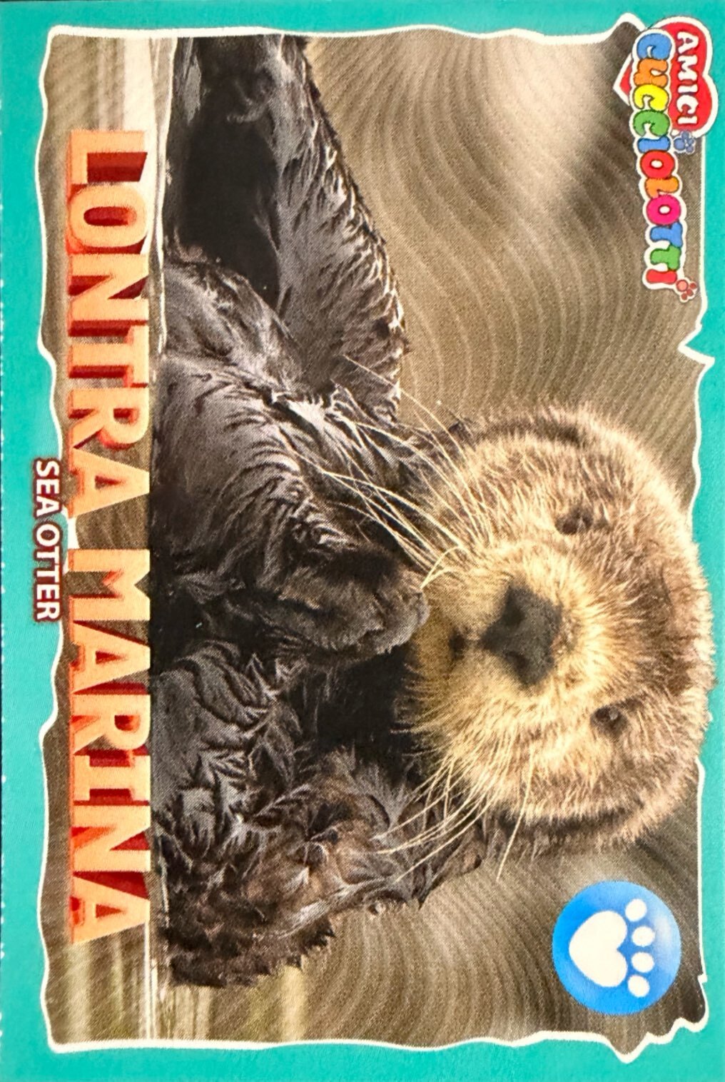 Amici Cucciolotti 2026 Pizzardi Editore - Figurine a Scelta 1-250