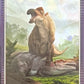 Release the Creatures Tomodachi Press - Scegli Special Card P-TS-S-PR-L