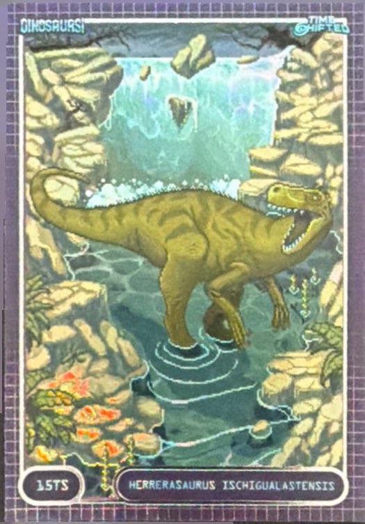 Release the Creatures Tomodachi Press - Scegli Special Card P-TS-S-PR-L