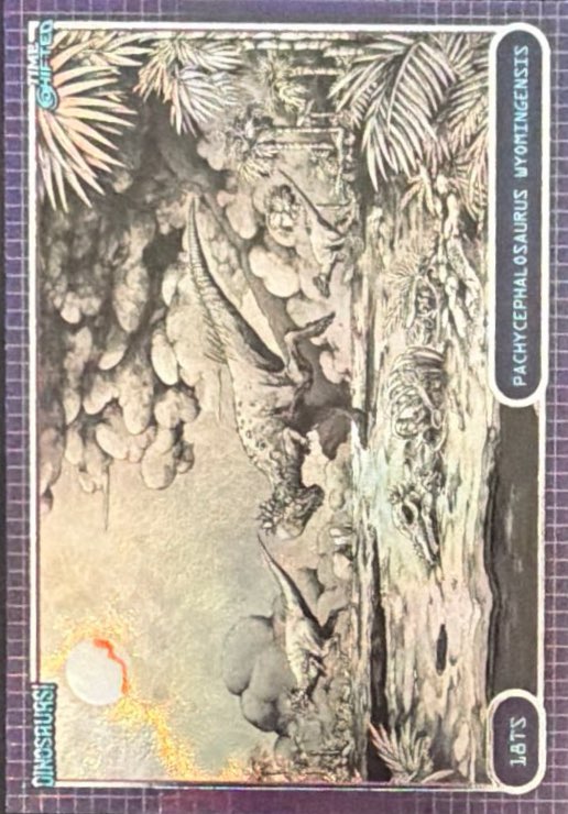 Release the Creatures Tomodachi Press - Scegli Special Card P-TS-S-PR-L