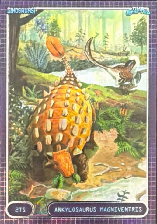 Release the Creatures Tomodachi Press - Scegli Special Card P-TS-S-PR-L