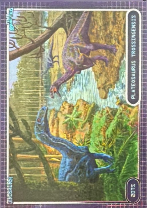 Release the Creatures Tomodachi Press - Scegli Special Card P-TS-S-PR-L
