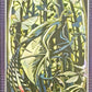 Release the Creatures Tomodachi Press - Scegli Special Card P-TS-S-PR-L