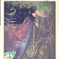 Release the Creatures Tomodachi Press - Scegli Special Card P-TS-S-PR-L