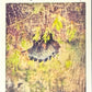 Release the Creatures Tomodachi Press - Scegli Special Card P-TS-S-PR-L