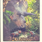 Release the Creatures Tomodachi Press - Scegli Special Card P-TS-S-PR-L