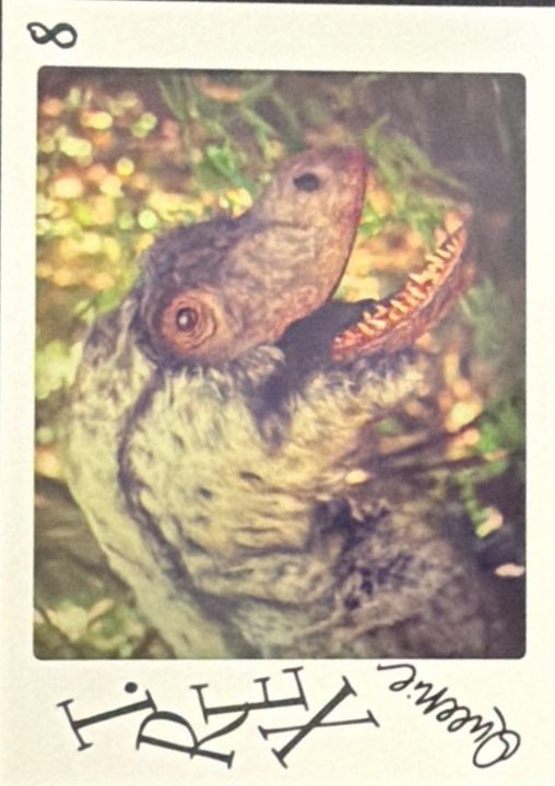 Release the Creatures Tomodachi Press - Scegli Special Card P-TS-S-PR-L
