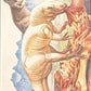 Release the Creatures Tomodachi Press - Scegli Special Card P-TS-S-PR-L
