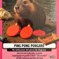 Skifidol Italian Brainrot Universo Psichedelico mancolista - Scegli Card da 1 a 100