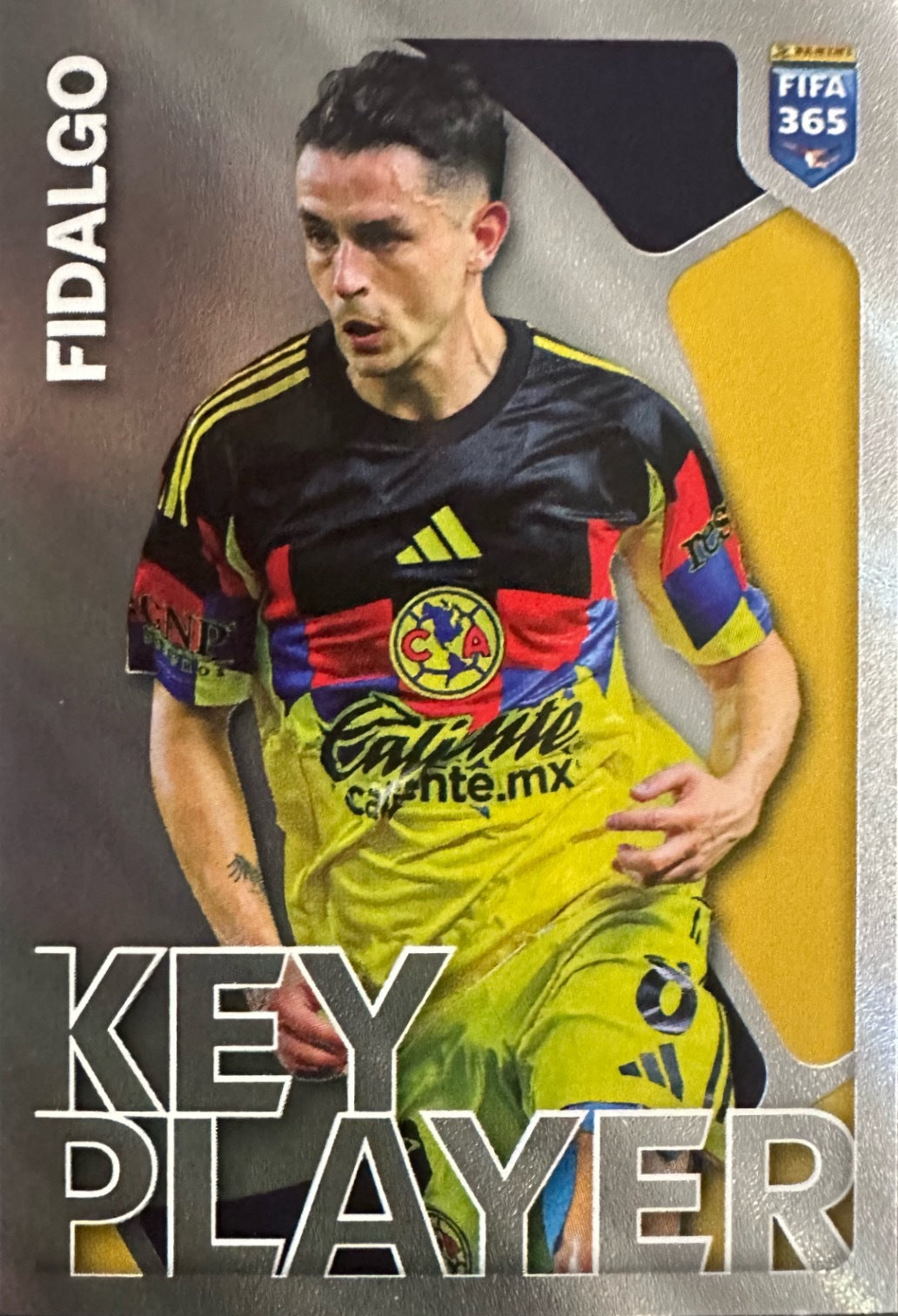 FIFA 365 2026 Panini - Figurine a scelta 201-400