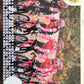 Tour de France 2025 Panini mancolista - Scegli figurina da 101 a 200
