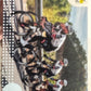 Tour de France 2025 Panini mancolista - Scegli figurina da 301 a 367