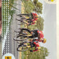 Tour de France 2025 Panini mancolista - Scegli figurina da 301 a 367