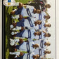 Calciatori Panini 2006/07 mancolista Scegli figurina da 801 a 840 AZ