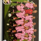 Calciatori Panini 2006/07 mancolista Scegli figurina da 201 a 300