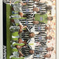 Calciatori Panini 2005/06 mancolista Scegli figurina da 101 a 200