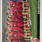 Calciatori Panini 2005/06 mancolista Scegli figurina da 601 a 700