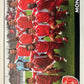 Calciatori Panini 2005/06 mancolista Scegli figurina da 601 a 700