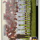 Calciatori Panini 2005/06 mancolista Scegli figurina da 601 a 700