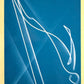 Italia in Pista 2026 - Scegli figurine e card 1-192 C1-C40