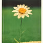 Italian Brainrot Serie 2 Sticker collection Panini - Figurine a Scelta 1-150