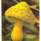 Italian Brainrot Serie 2 Sticker collection Panini - Figurine a Scelta 1-150
