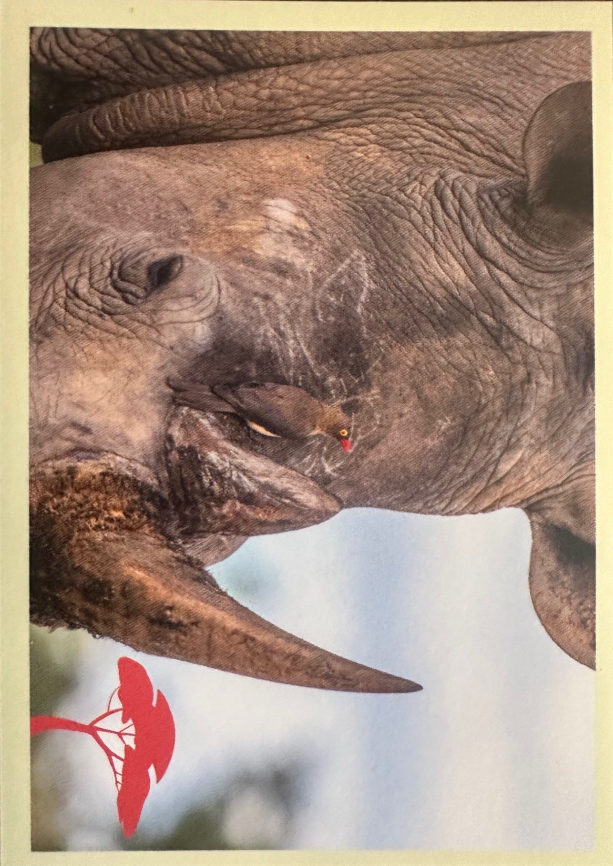 Panini Noi Animali L’unione fa la forza – Figurine singole a scelta 1-100