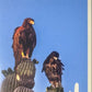 Panini Noi Animali L’unione fa la forza – Figurine singole a scelta 1-100