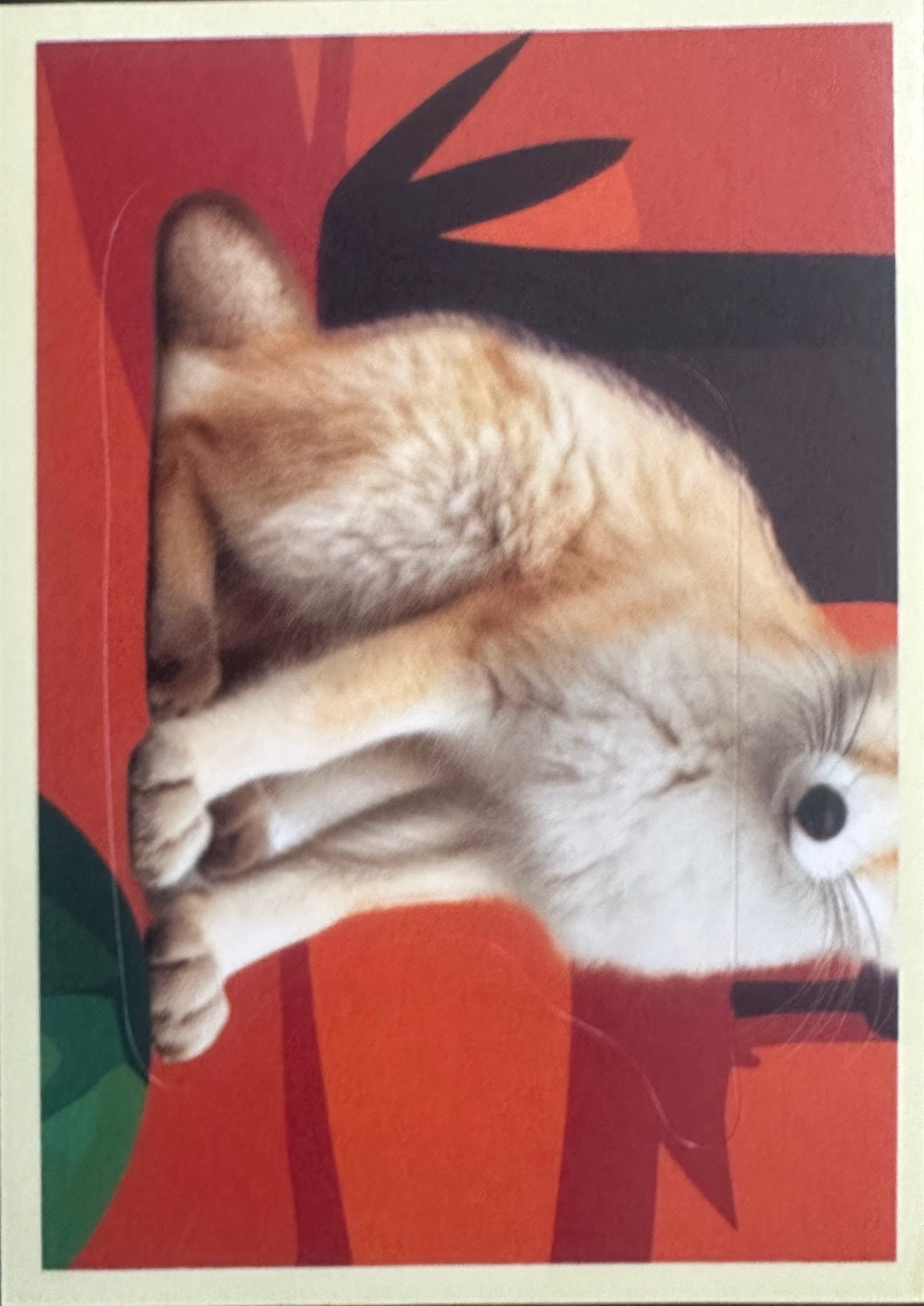 Panini Noi Animali L’unione fa la forza – Figurine singole a scelta 1-100