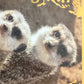 Panini Noi Animali L’unione fa la forza – Figurine singole a scelta 1-100
