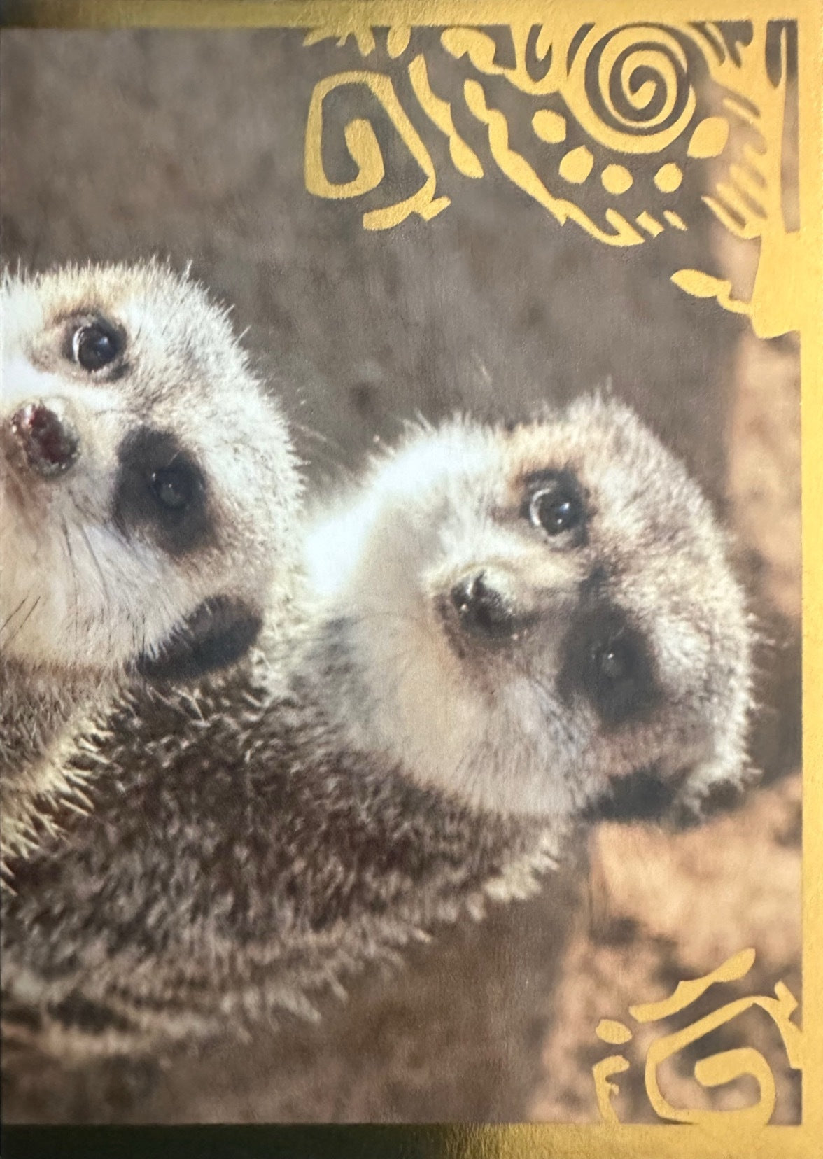 Panini Noi Animali L’unione fa la forza – Figurine singole a scelta 1-100