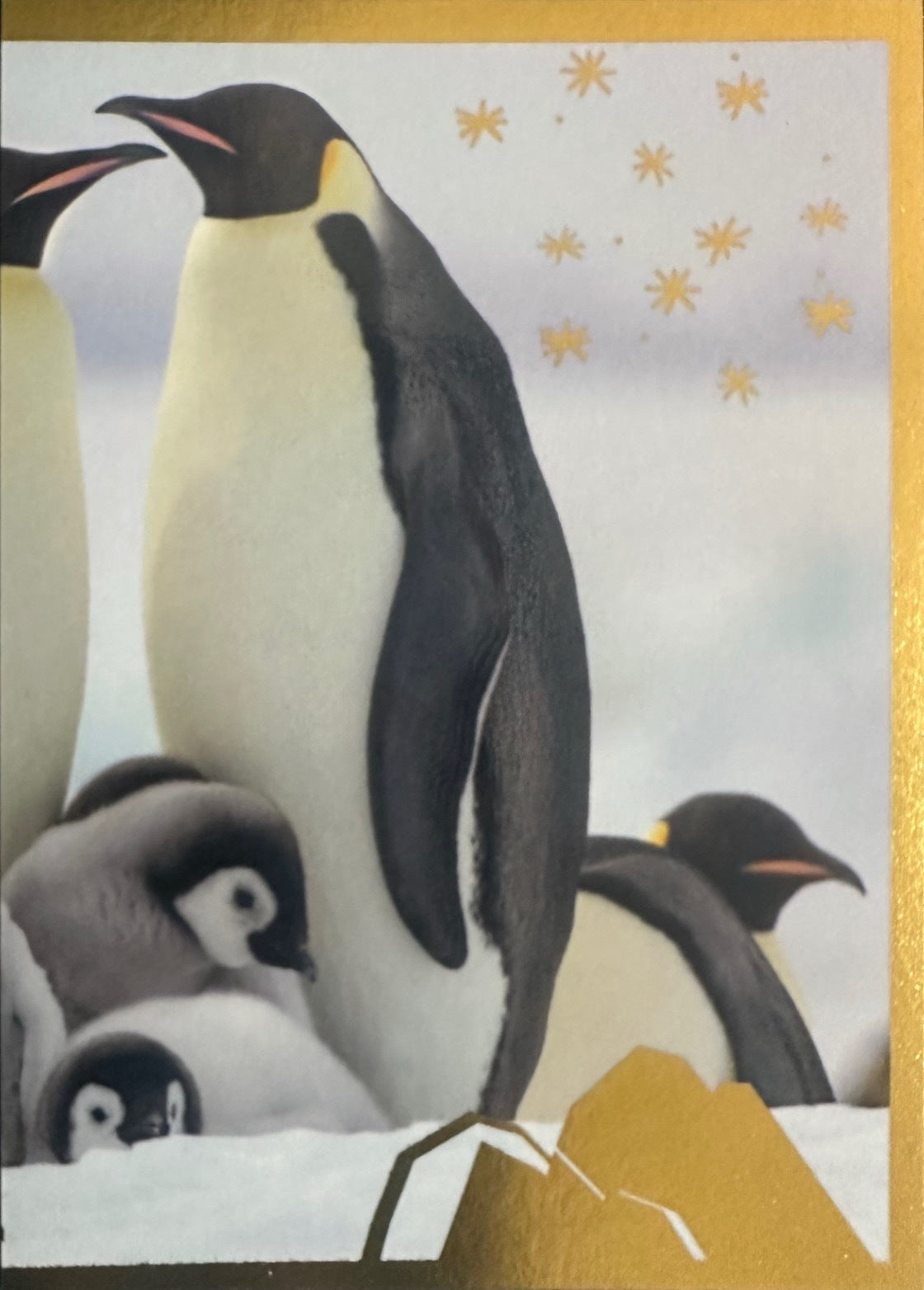 Panini Noi Animali L’unione fa la forza – Figurine singole a scelta 1-100