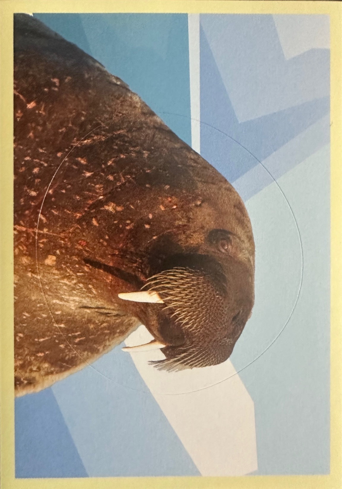 Panini Noi Animali L’unione fa la forza – Figurine singole a scelta 1-100