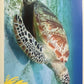 Panini Noi Animali L’unione fa la forza – Figurine singole a scelta 1-157 X1-X25