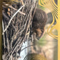 Panini Noi Animali L’unione fa la forza – Figurine singole a scelta 1-157 X1-X25