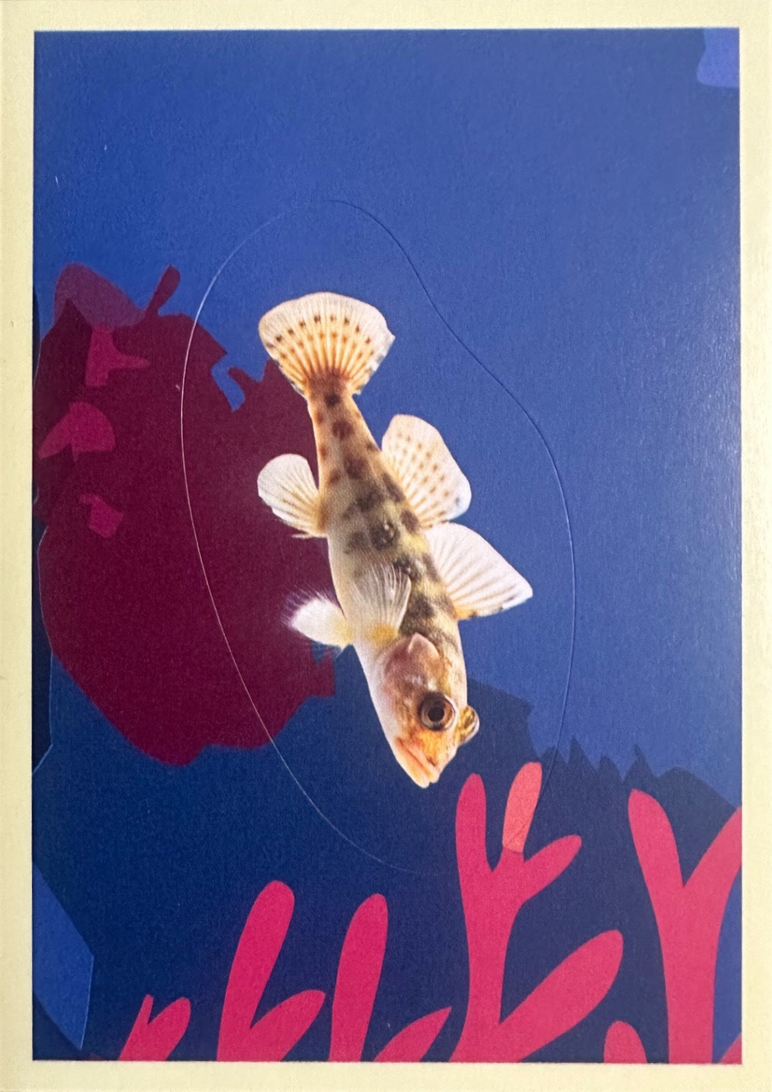 Panini Noi Animali L’unione fa la forza – Figurine singole a scelta 1-157 X1-X25