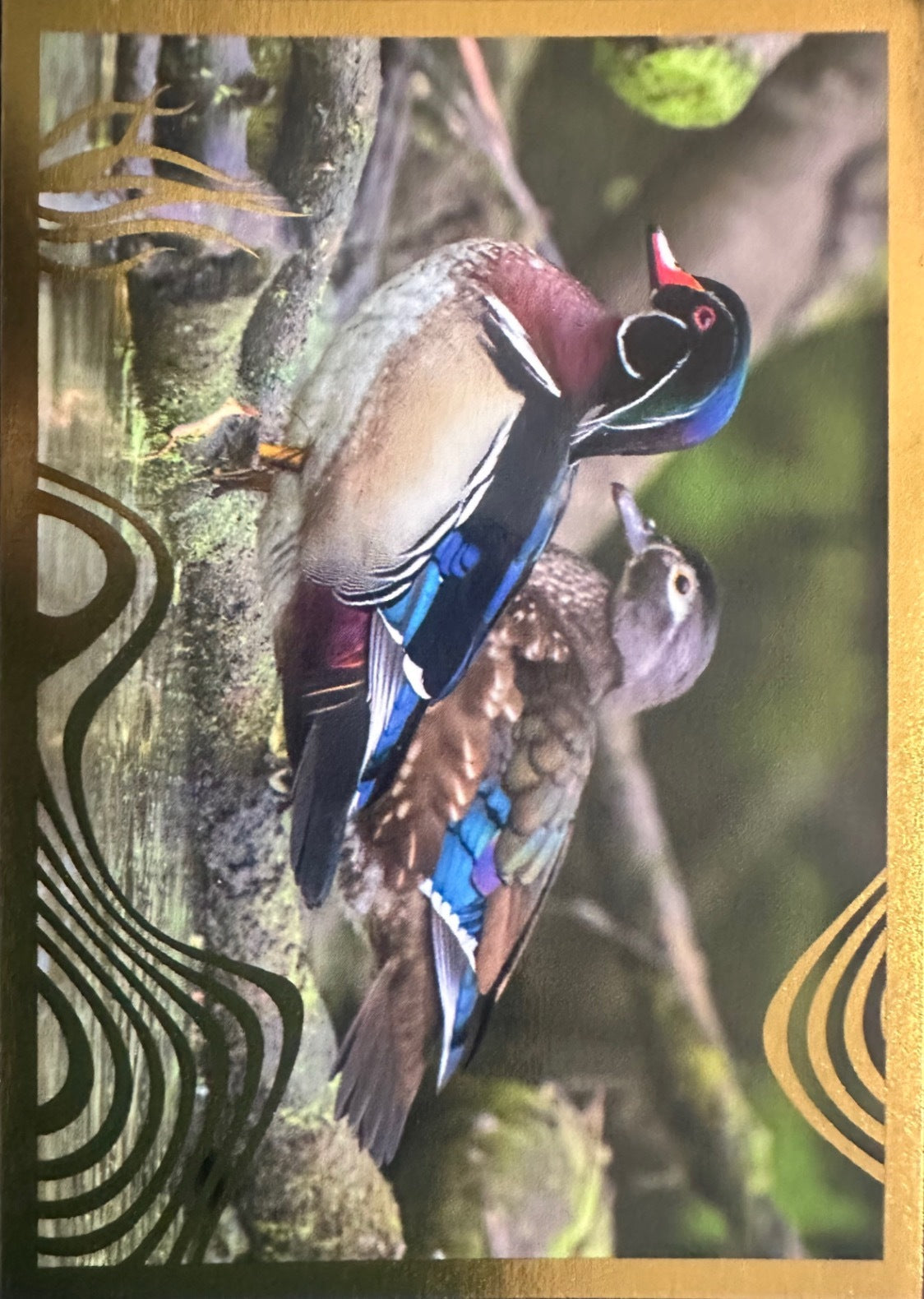 Panini Noi Animali L’unione fa la forza – Figurine singole a scelta 1-157 X1-X25
