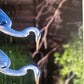 Panini Noi Animali L’unione fa la forza – Figurine singole a scelta 1-157 X1-X25