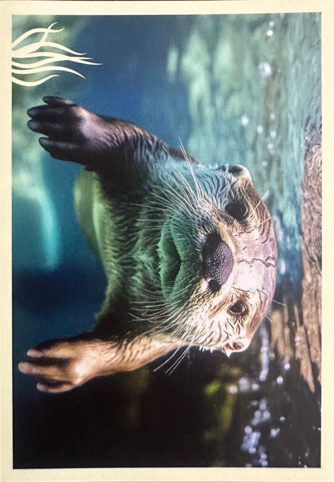 Panini Noi Animali L’unione fa la forza – Figurine singole a scelta 1-157 X1-X25