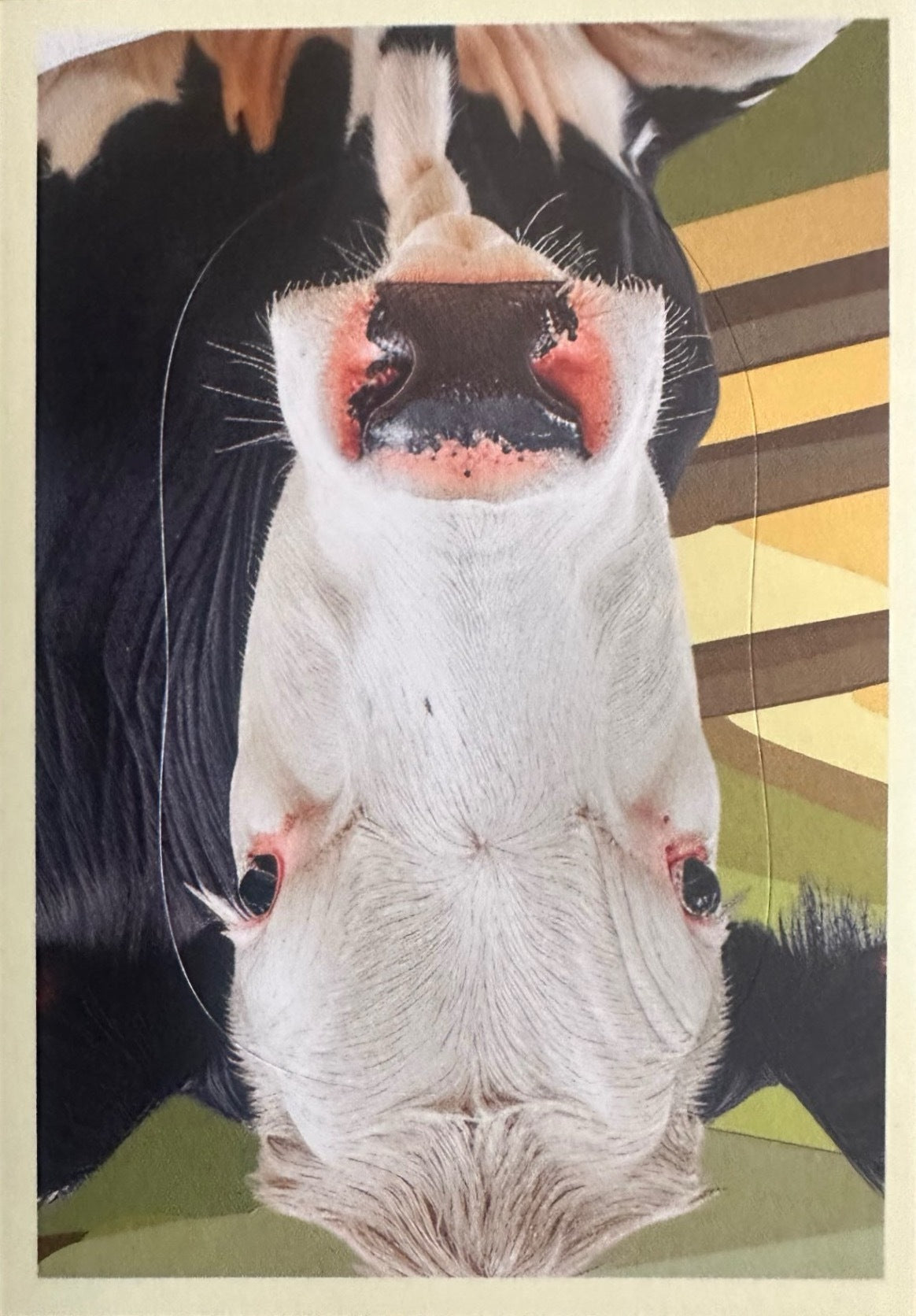 Panini Noi Animali L’unione fa la forza – Figurine singole a scelta 1-157 X1-X25