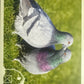 Panini Noi Animali L’unione fa la forza – Figurine singole a scelta 1-157 X1-X25