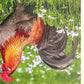 Panini Noi Animali L’unione fa la forza – Figurine singole a scelta 1-157 X1-X25