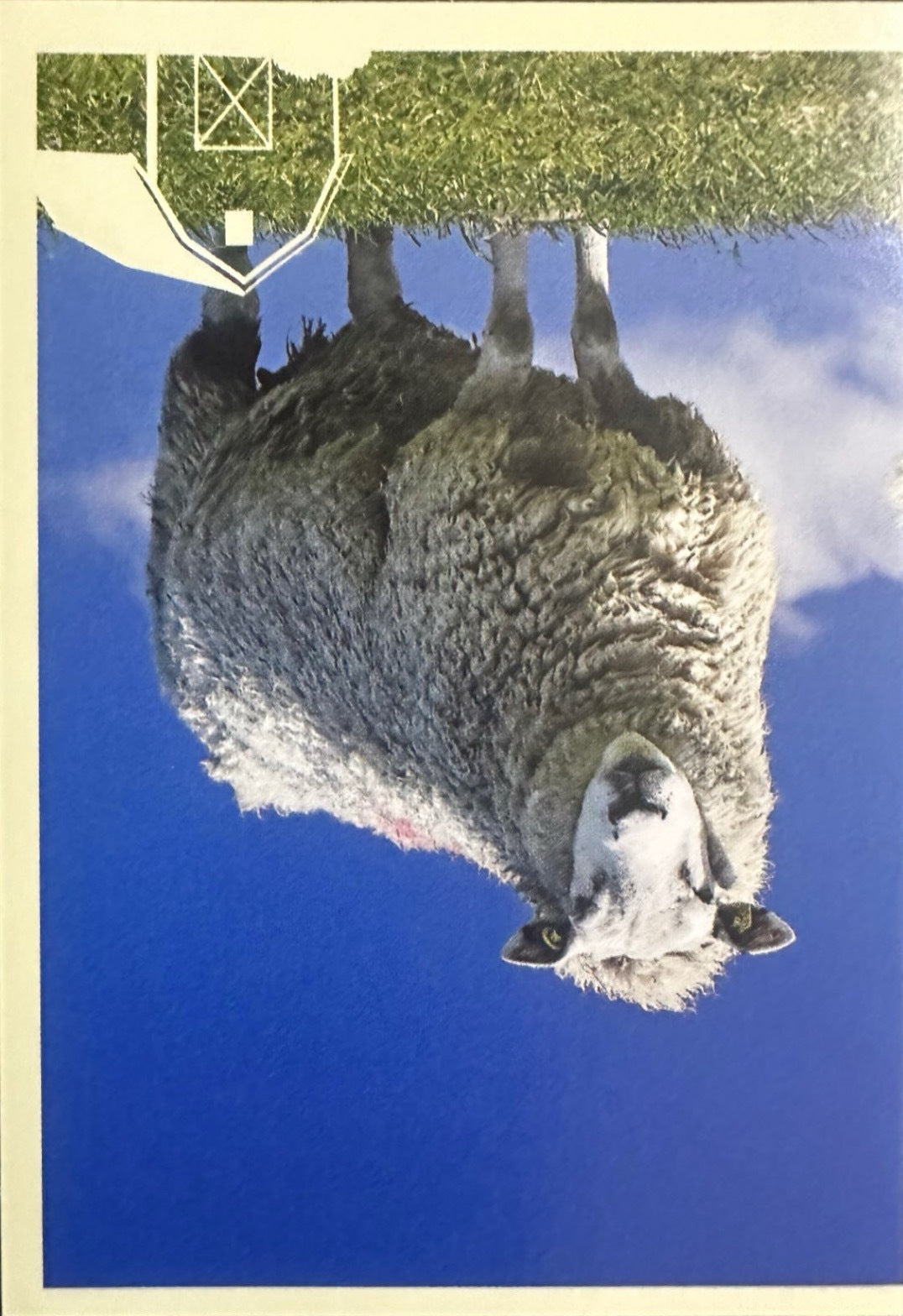 Panini Noi Animali L’unione fa la forza – Figurine singole a scelta 1-157 X1-X25