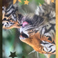 Panini Noi Animali L’unione fa la forza – Figurine singole a scelta 1-100