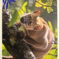 Panini Noi Animali L’unione fa la forza – Figurine singole a scelta 1-100