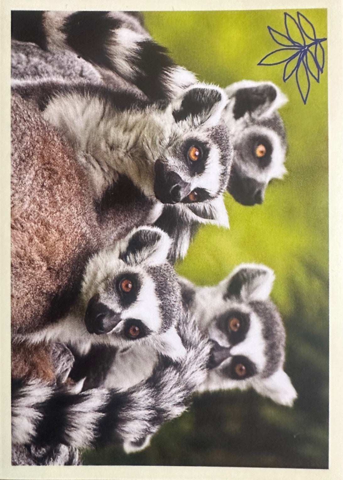 Panini Noi Animali L’unione fa la forza – Figurine singole a scelta 1-100