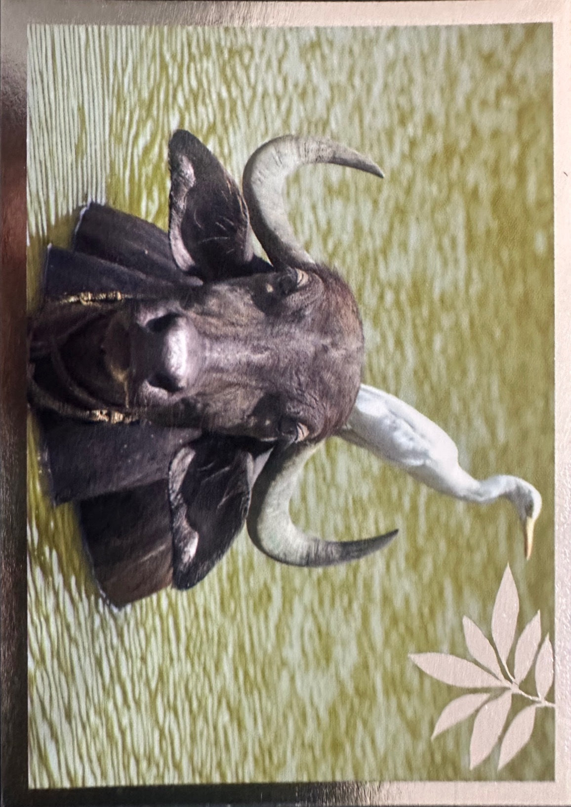 Panini Noi Animali L’unione fa la forza – Figurine singole a scelta 1-100
